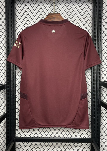 Manchester City Alternativa 24/25